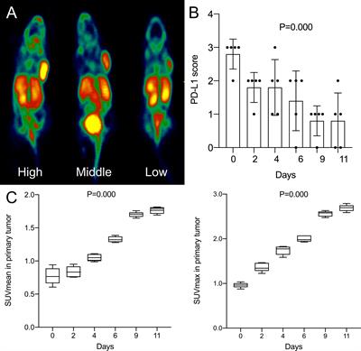 Negative Correlation Between 18F-RGD Uptake via PET and Tumoral PD-L1 Expression in Non-Small Cell Lung Cancer